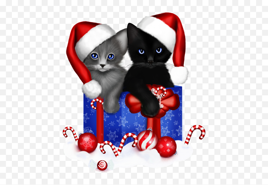 Christmas Cats Christmas Animals - Dibujos Gatos Navideños Animados Emoji,Blackberry Christmas Emoticons