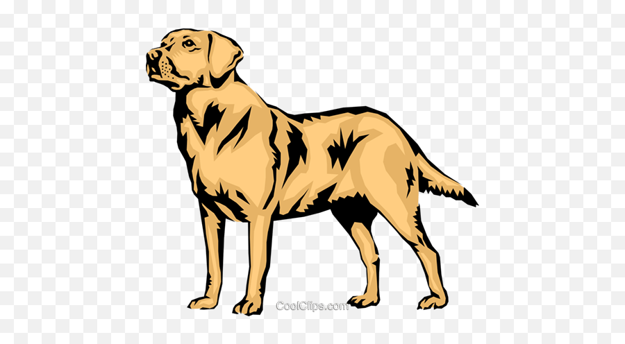 Labrador Retriever Vector Png Free - Labrador Dog Png Vector Emoji,Happy Birthday Emoticons With Labrador Retriever