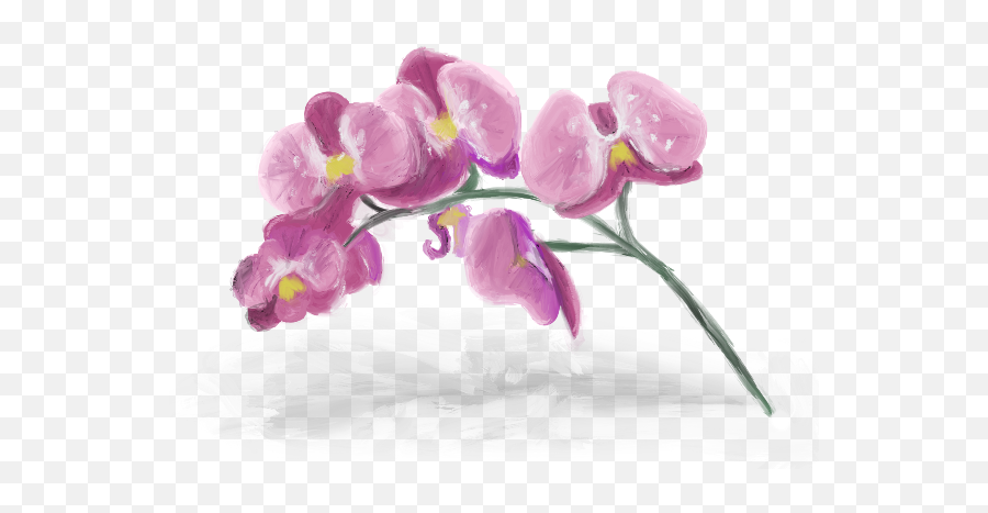 You Are The Music In Me - Chapter 4 Brightasstars Moth Orchid Emoji,Do Shadowhunters Have Emotion