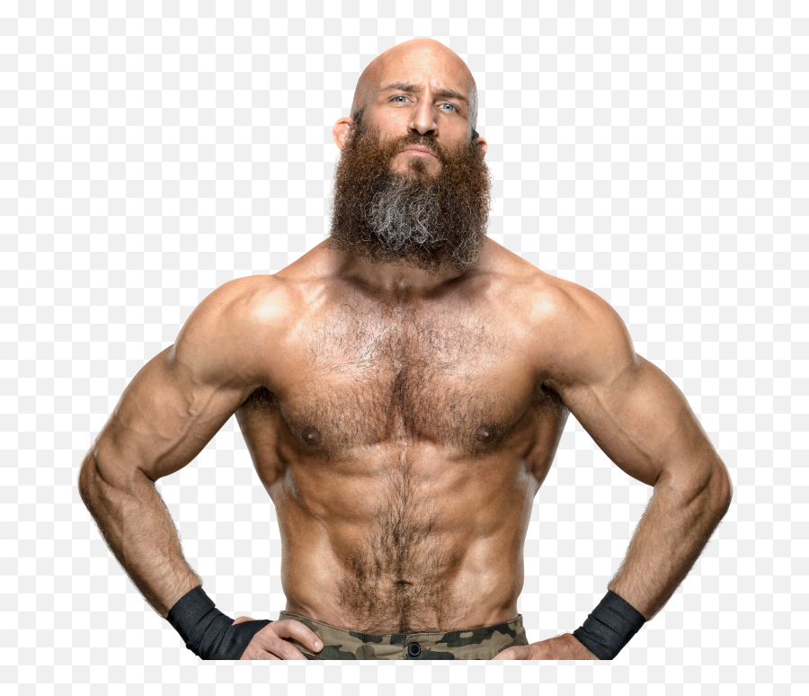 Pro Wrestling - Stars Feuds Accidents Bloopers Hall Of Tommaso Ciampa United States Champion Png Emoji,Bayley Huggers Emoticon