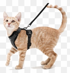 Winklin Emoji,Emotion Pets Cherry The Cat Like Toy