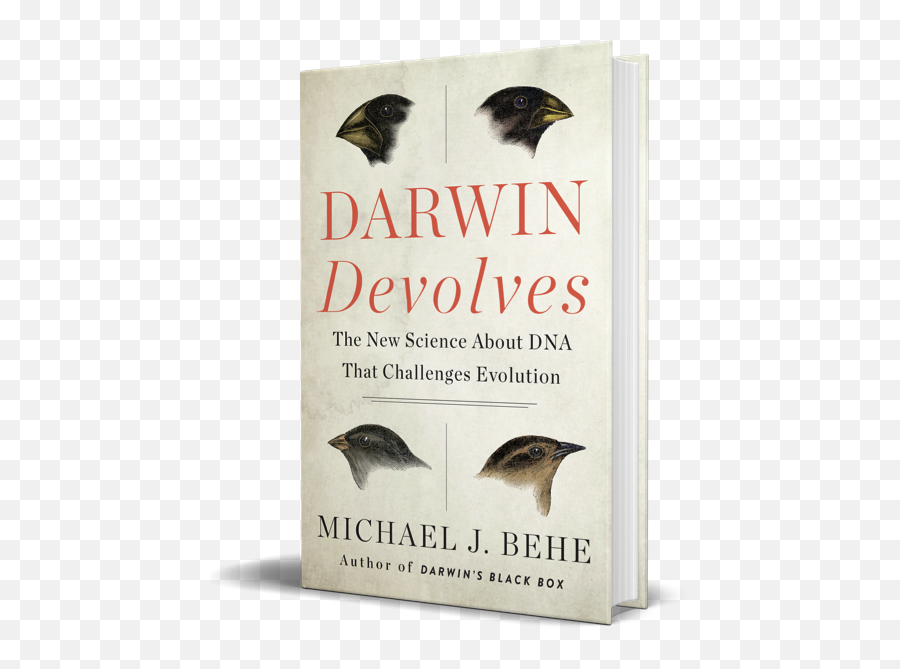Why Do We Celebrate Darwin Day Psychology Today - Book Cover Emoji,Charles Darwin Emotions