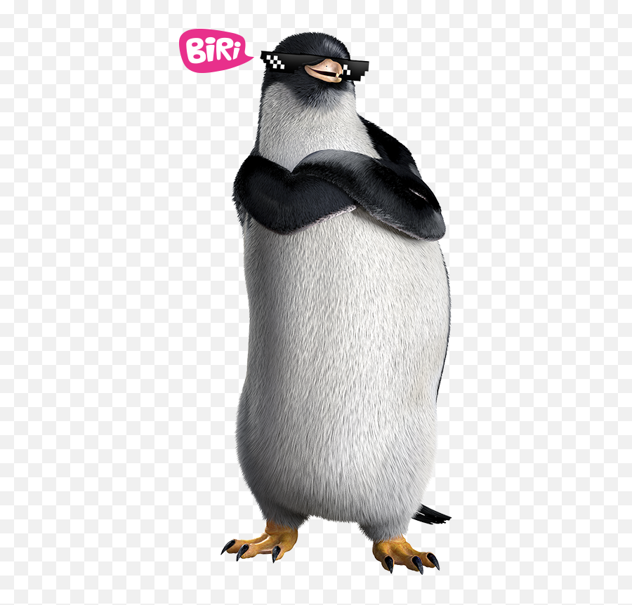 Pingüinos - Adélie Penguin Emoji,Emojis De Pinguinos Utilizables