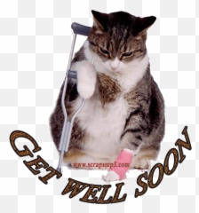 Zonealarm Results - Get Well Soon Cat Transparent Emoji,Get Well Soon N Emoticons