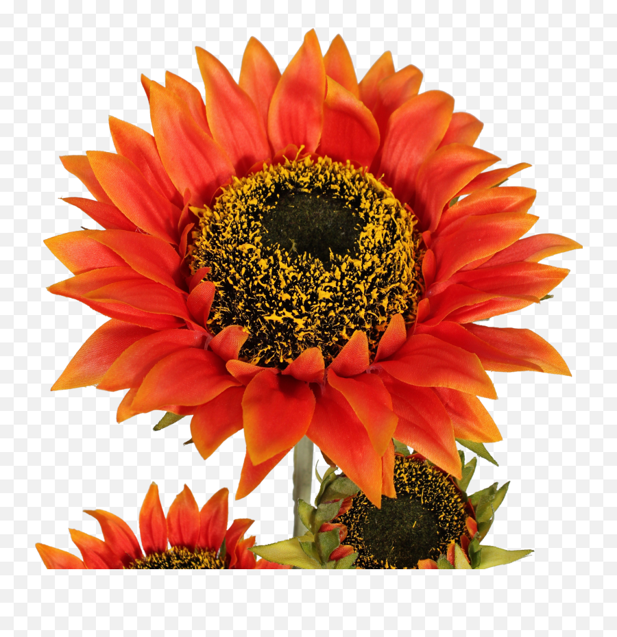 Artificial Sunflower Stem Blooming Artificial - Fresh Emoji,Facebook Sunflower Emoticons