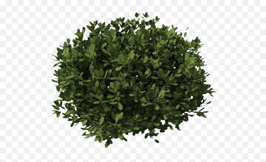 Small Bush Png Pic Png Arts Emoji,Bush Emoticon Saying Do It In Fortnite