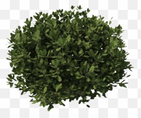Small Bush Png Pic Png Arts Emoji,Bush Emoticon Saying Do It In Fortnite