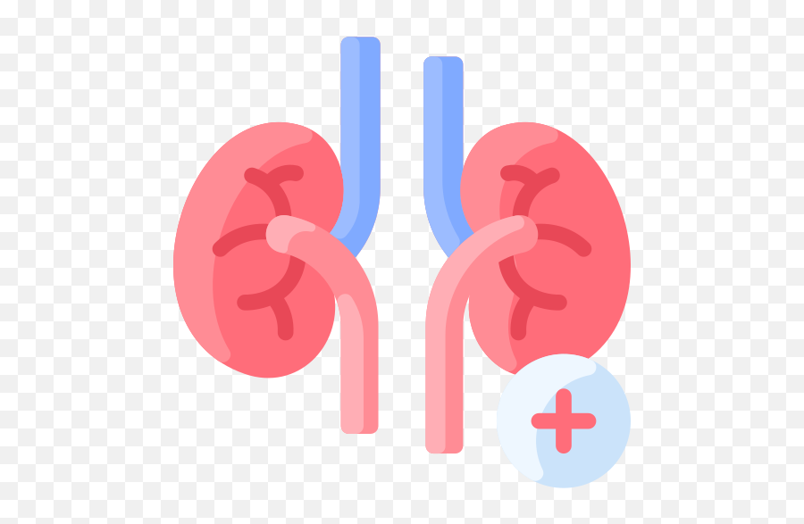 Kidney - Free Healthcare And Medical Icons Emoji,Kidney Stone Emoji