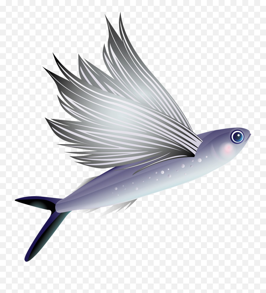 Png Flying Fish U0026 Free Flying Fishpng Transparent Images - Flying Fish Transparent Background Emoji,Neko Atsume Emoji