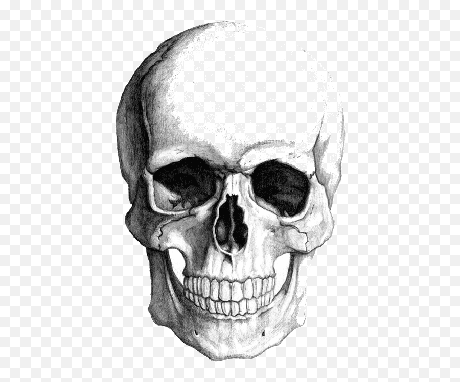 Top Vs Red Skull Stickers For Android U0026 Ios Gfycat - Skull Drawing Emoji,Skull Emoji