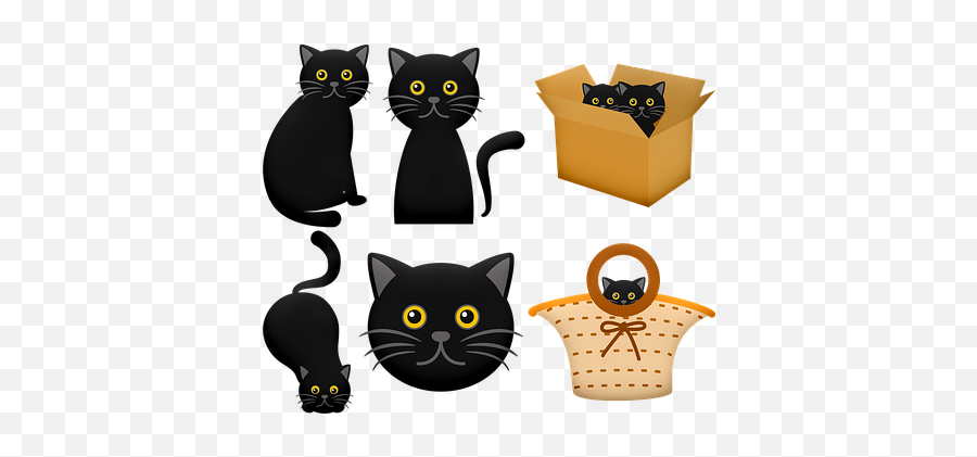 100 Free Halloween Black Cat U0026 Halloween Illustrations - Black Cat On The Box Clipart Emoji,Halloween Cat Emoji