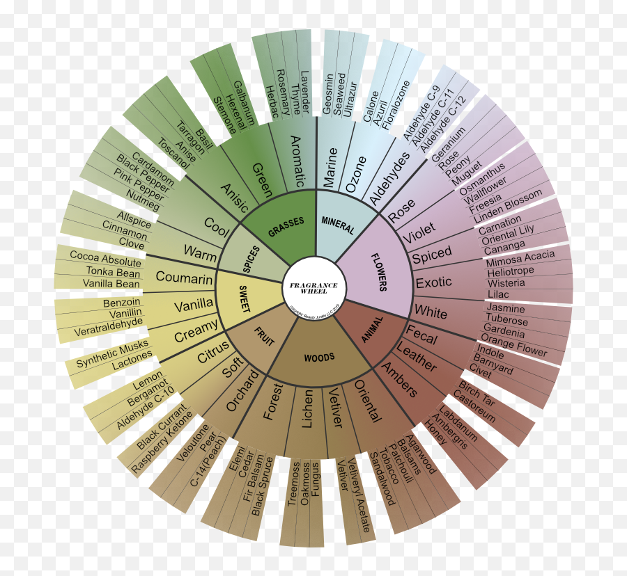 Fragrance Wheel 2019 - Wheel Fragrance Families Emoji,Emotion Wheel Doterra Image