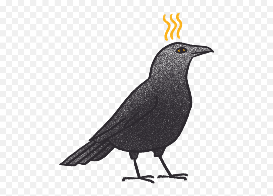 Crow Bro - American Crow Emoji,Crow Emoji