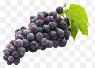 Grape Emoji Png - Grape Black,Grape Emoji