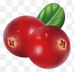 Jailbreak Clip Art - Shefalitayal Transparent Cranberry Png Emoji,Emoji Movie Gene Transparent