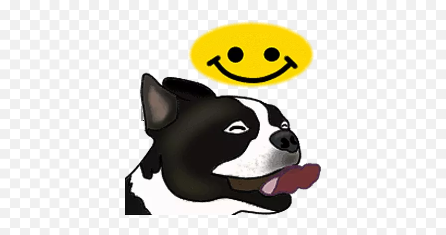 Boston Terrier - Stickers For Whatsapp Emoji,Devianart Emojis