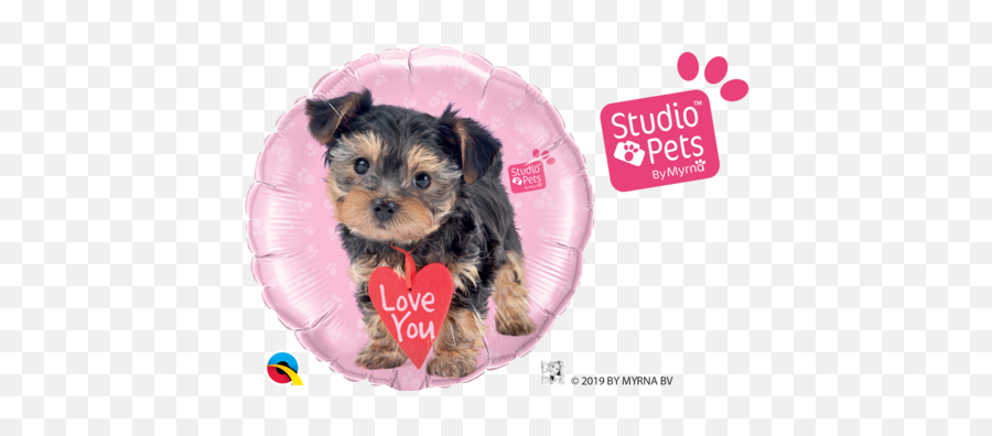 Products - Studio Pets Emoji,Puppy Yorkie Emoticon