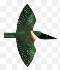 Texas Birds Sticker Pack By Texas Parks U0026 Wildlife - Coraciiformes Emoji,Iphone Orioles Emojis