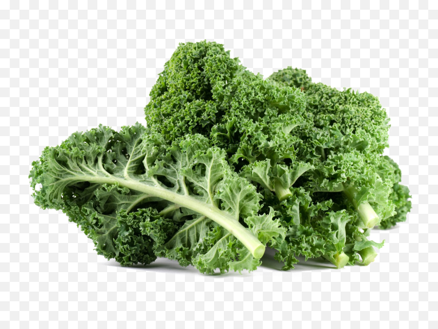 Kale Png File Png Svg Clip Art For Web - Download Clip Art Kale Leaves Emoji,Kale Emoji