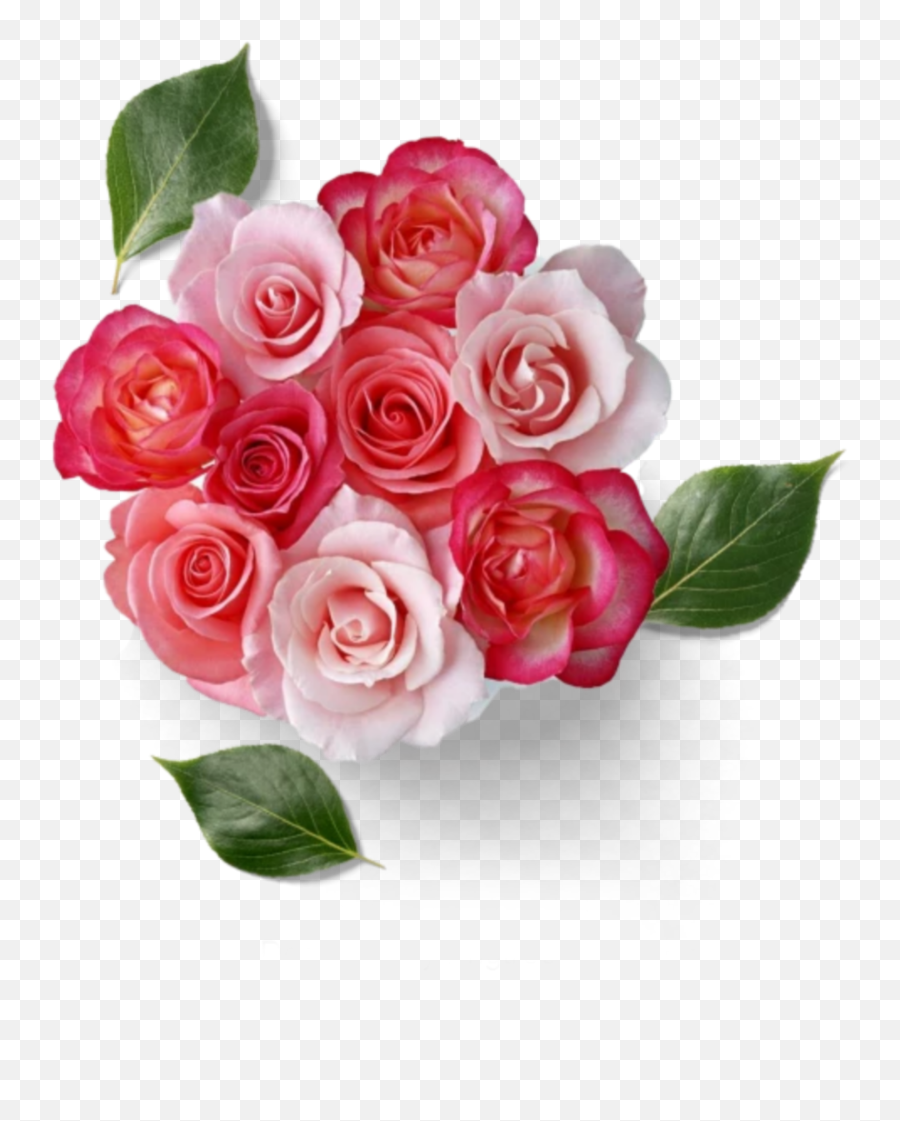 Ftestickers Flowers Roses Boquet - Lovely Emoji,Boquet Emoji