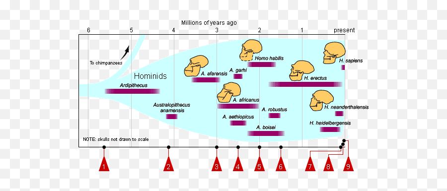 Rhetoric U0026 Technical Communication September 25th Page Design - Human Evolution Lineage Emoji,Pathos Emotions List