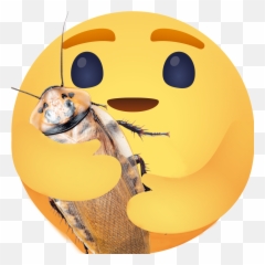 Its Roach Love And Its Beautiful - Cherish Emoji,Cockroach Emoticon
