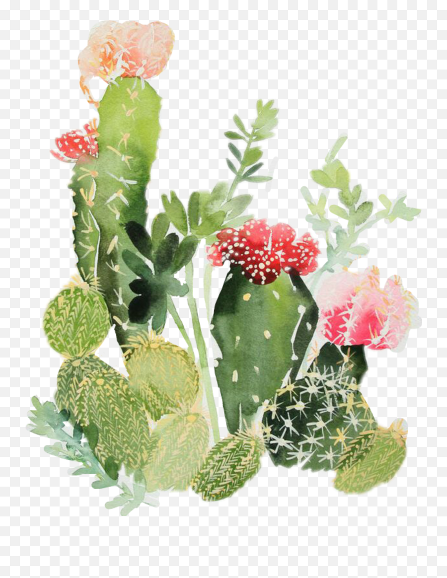 Cactus Sticker By Sydpow05 - Cactus Watercolor Emoji,Emoji Android Cactus
