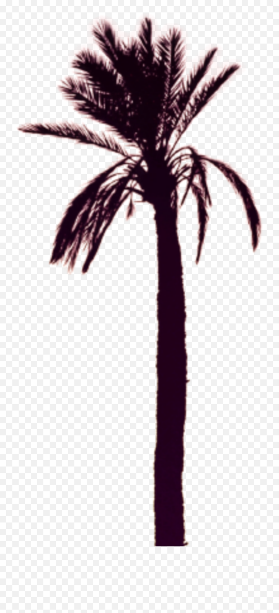 Discover Trending Thankyou Stickers Picsart - Think U Know Ikson Emoji,Palm Tree Drink Lightning Umbrella Emoji