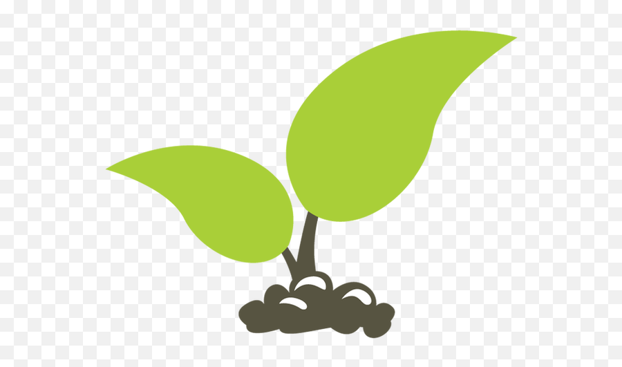 Seedling Clipart Many Plant Seedling - Transparent Tree Sapling Clipart Emoji,Sprout Emoji