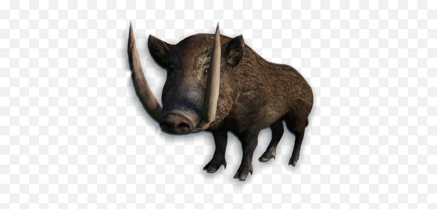 Boar Sticker - Boar Animal Png Emoji,Warthog Emoji