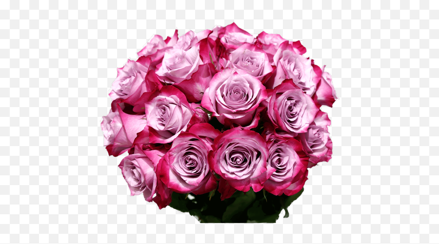 Plants And Gifts With Same Day Delivery - Lovely Emoji,Deep Emotion Rose Bouquet Ftd