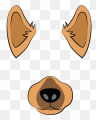 Emotion - Dog Face Mask Png Emoji,Emotion Kernel