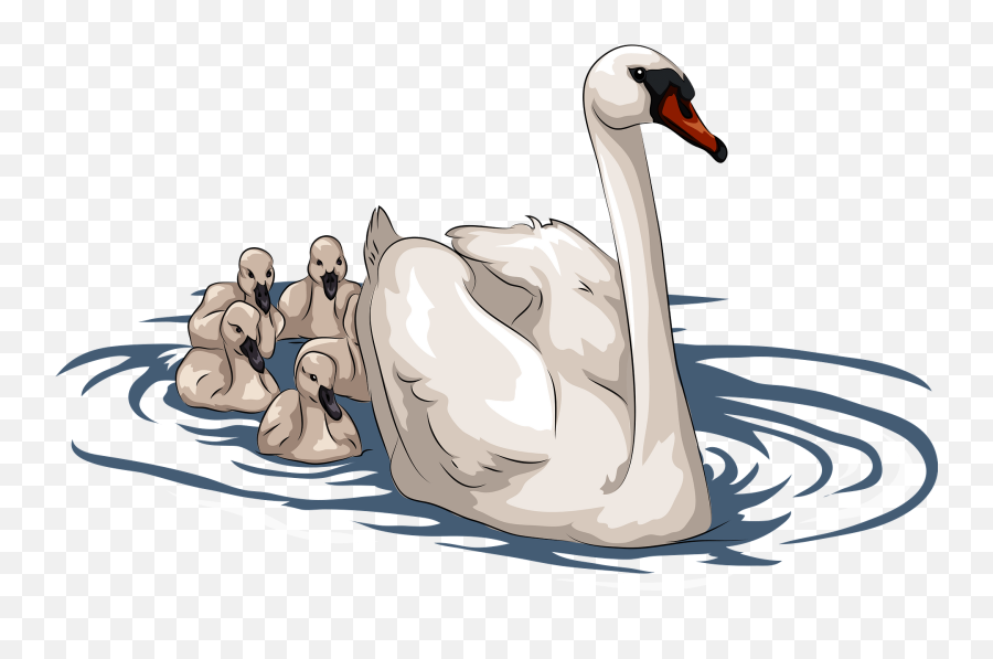 Swan With Cygnets Clipart - Swan And Cygnet Cartoon Emoji,Is There A Swan Emoji