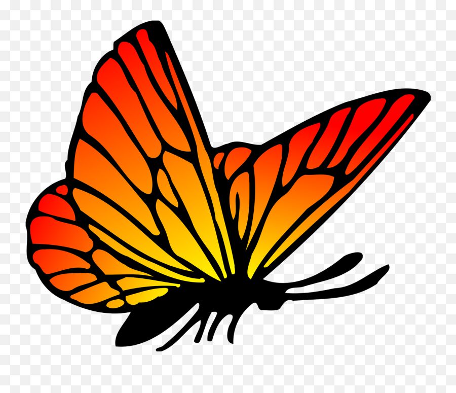 Animal Butterflies Butterfly Png Picpng - Butterfly Png Drawing Emoji,Butterfly Emoji Png