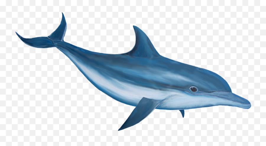 Dolphin Transparent Background - Clip Art Library Blue Dolphin White Background Emoji,Dolphin Emoji
