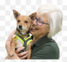 Online Vet Neutering Scheme Dogs Trust - Northern Breed Group Emoji,Neutered Dog Emoticons