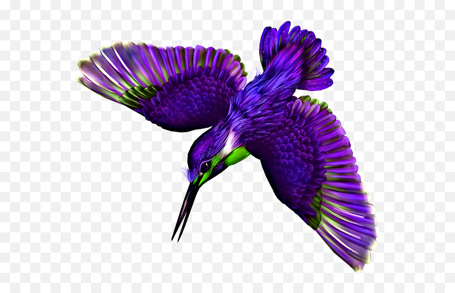 Animal Bird Purple Hummingbird Sticker - Beija Flor Azul Png Emoji,Purple Bird Emoji