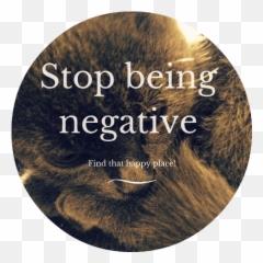 Why Are People So Negative 4 Steps - Delegator Superhero Emoji,Vent Emotions Positivity