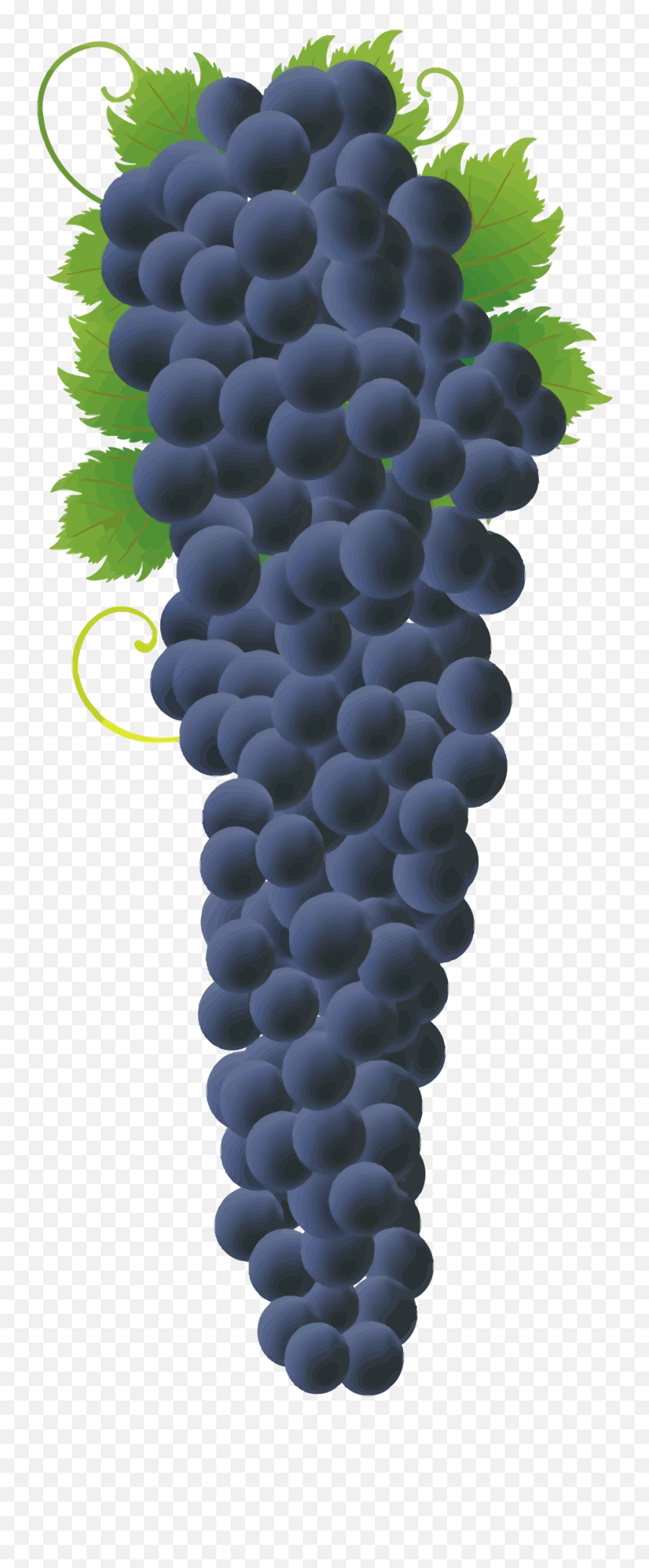 Grapes Clipart Emoji Grapes Emoji - Bunch Of Grapes Big,Grape Emoji