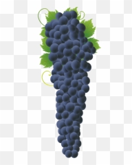 Grapes Clipart Emoji Grapes Emoji - Bunch Of Grapes Big,Grape Emoji