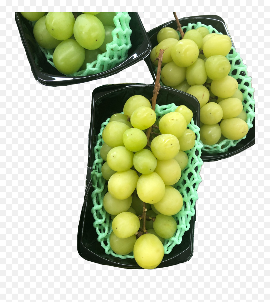 Basket Baskets Sticker - Grape Emoji,Grapes Emoji Transparent