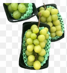 Basket Baskets Sticker - Grape Emoji,Grapes Emoji Transparent