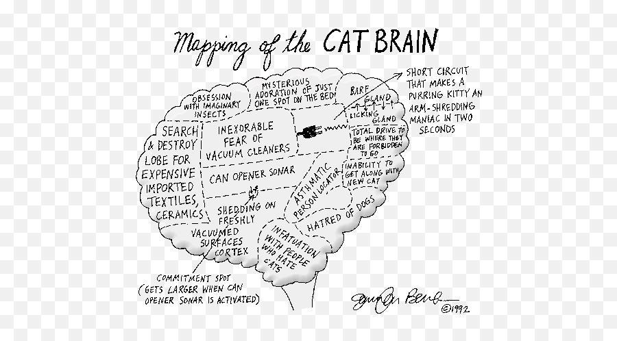 Takingcareofcats - Funny Cat Brain Emoji,Cat Emotion