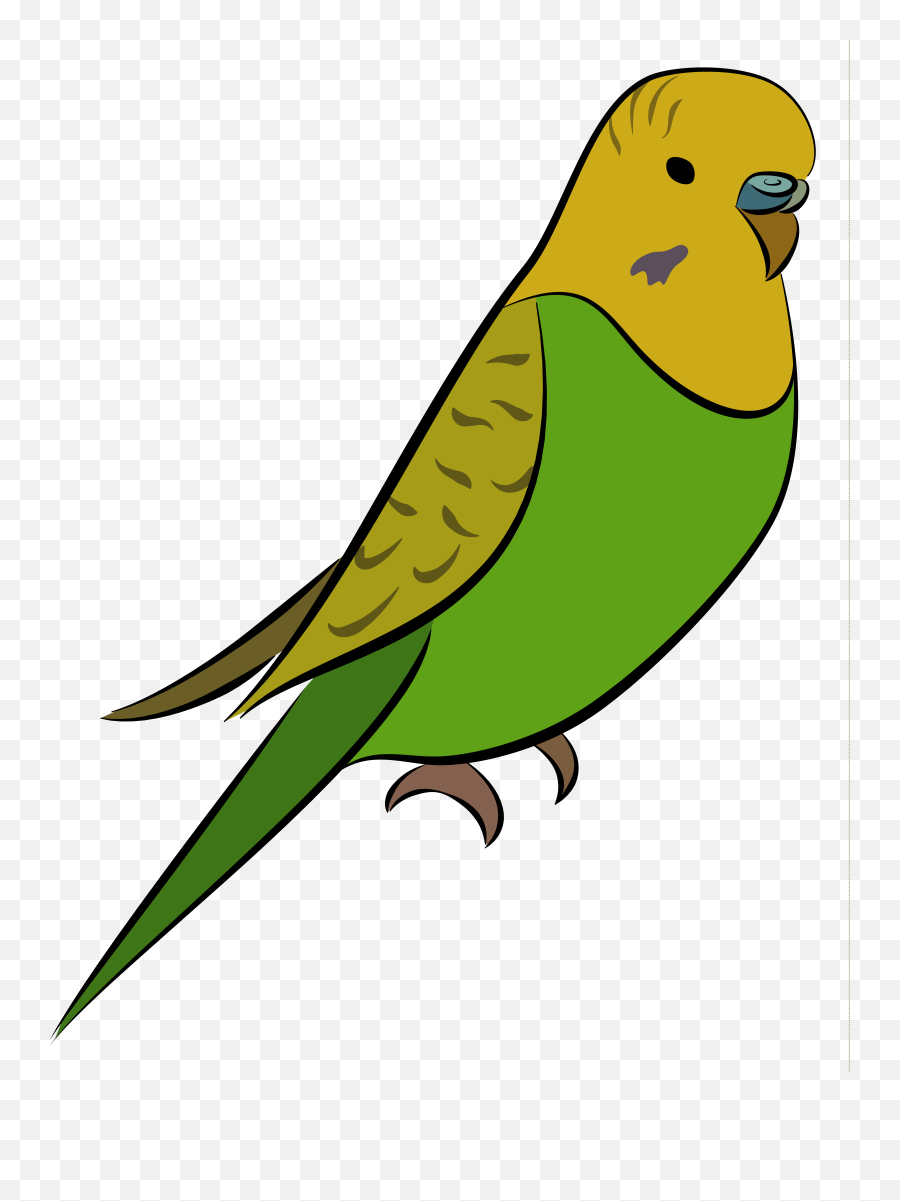 Green And Yellow Budgie Drawing Free Image Download Emoji,Red Yellow Green Emotions