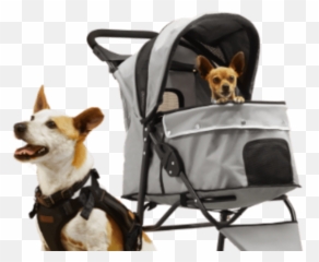 Dog Vehicle Travel U0026 Outdoor Supplies Petco Emoji,Emotion Dog Kit