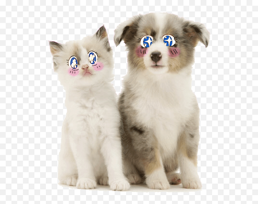 Top Dog Trick Cute Stickers For Android - Shetland Sheepdog Blue Merle Emoji,Dog Emoji Android