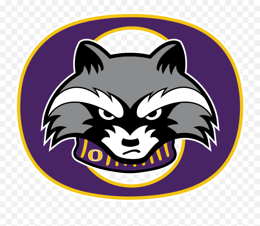 2020 Ohs Boys Baseball Camp January 18 25 U0026 February 1 2020 Emoji,Raccoon Showing Emotions