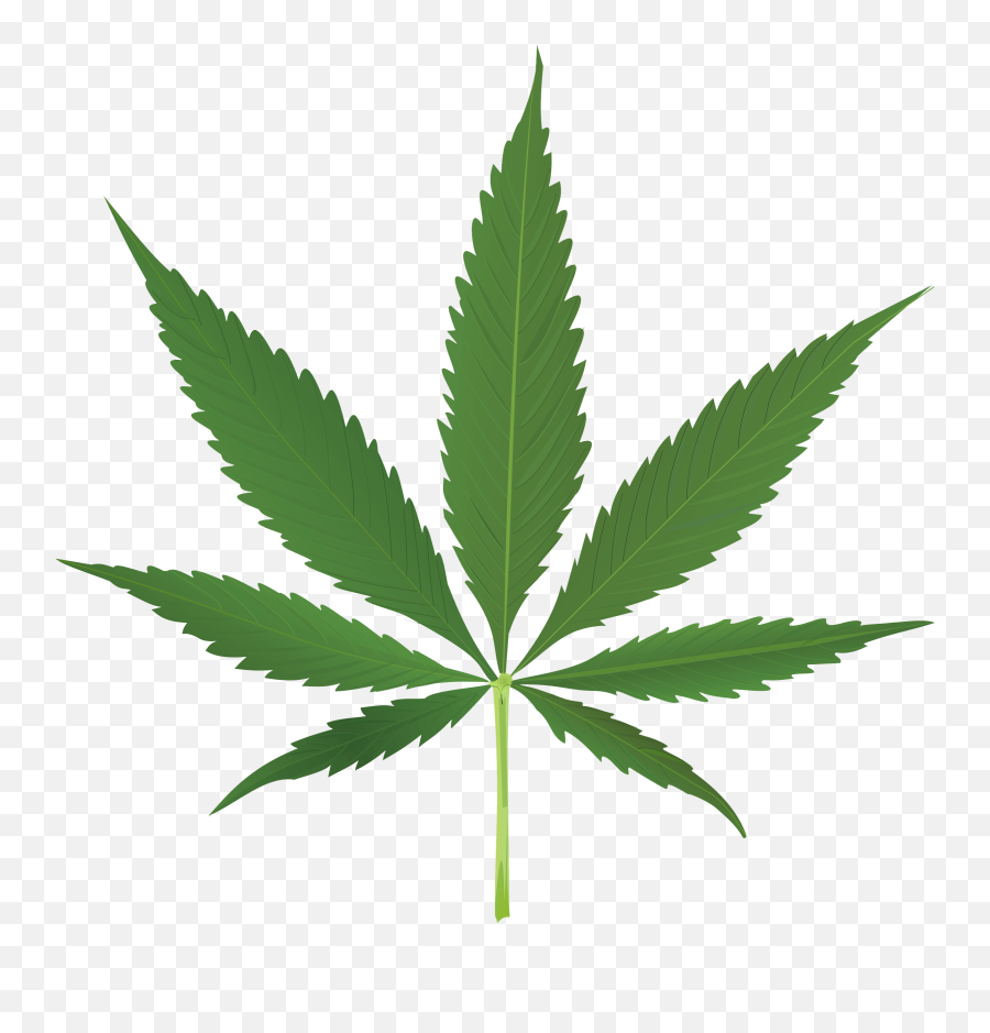 Blunt Cannabis Joint Rolling Paper - Pot Leaf Emoji,Steam Weed Emoticon