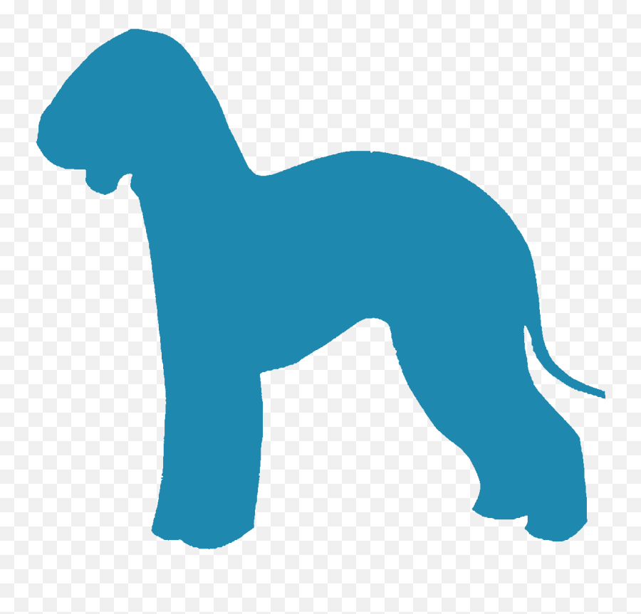 Puppy Breeder Referral - Animal Figure Emoji,Whippets High On Emotion