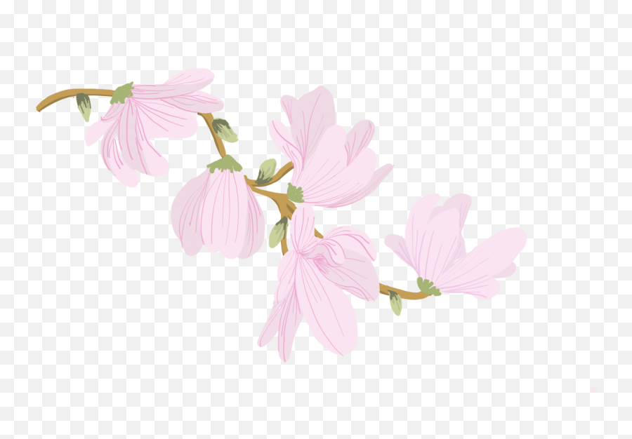 Drawing Vector Flowers - Illustrating Simple Florals In Adobe Catchflies Emoji,Emoticon Giving Flowers